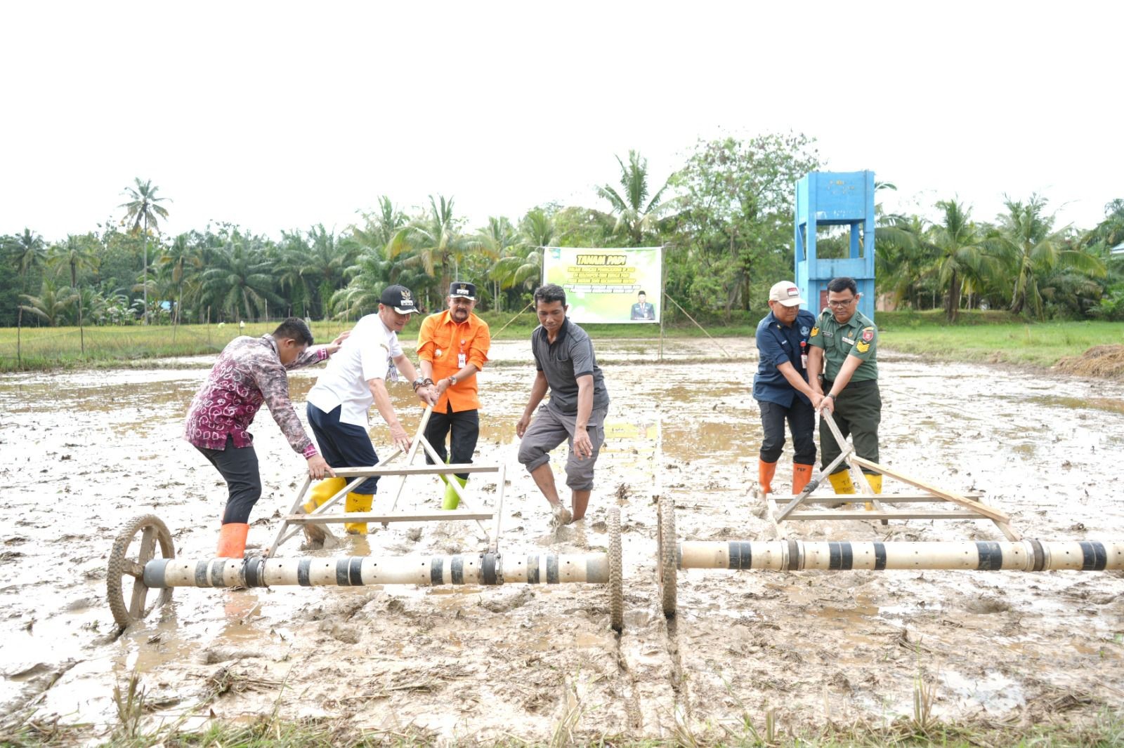 Syamsir Apresiasi Kelompok Tani Bunga Padi